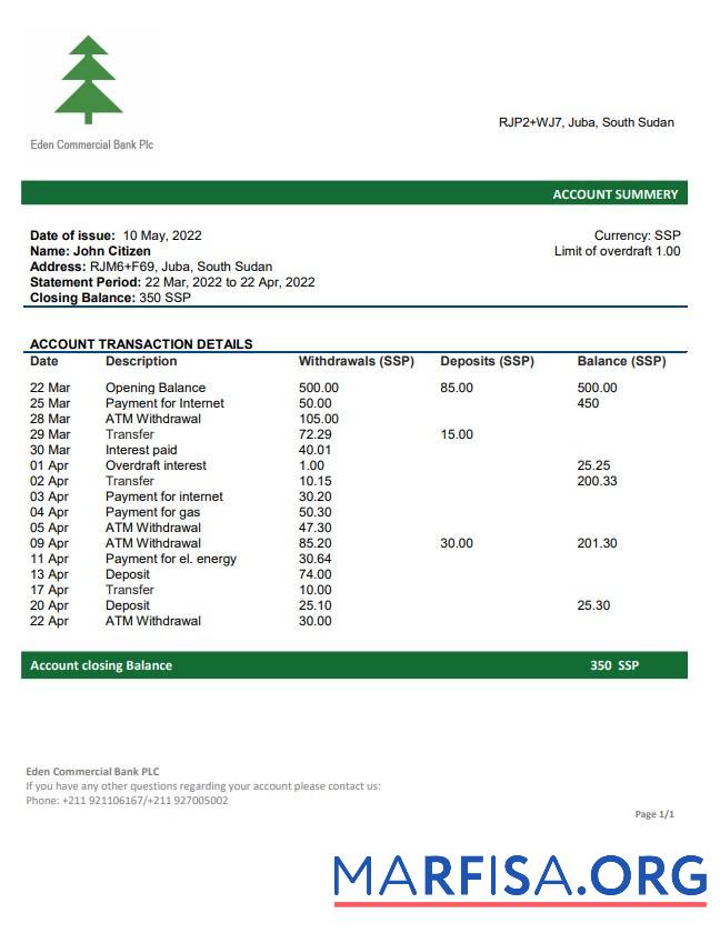 Realistic South Sudan Eden Commercial bank statement word download for verification